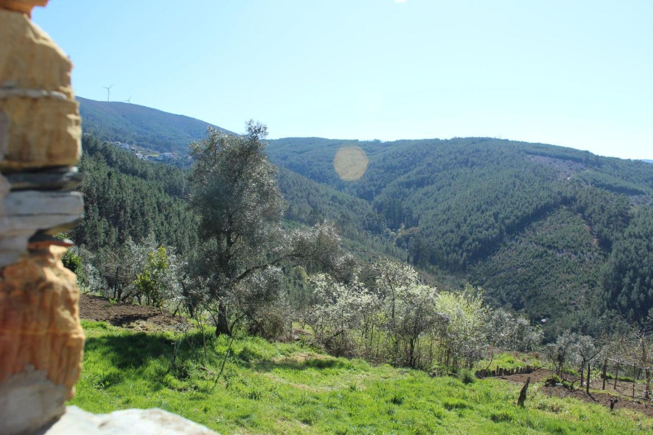 Casa Do Avo Villa Vasco Esteves de Baixo ภายนอก รูปภาพ